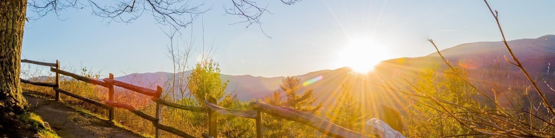 A wooden fence along a dirt path with a tree on the left and a mountain in the background.