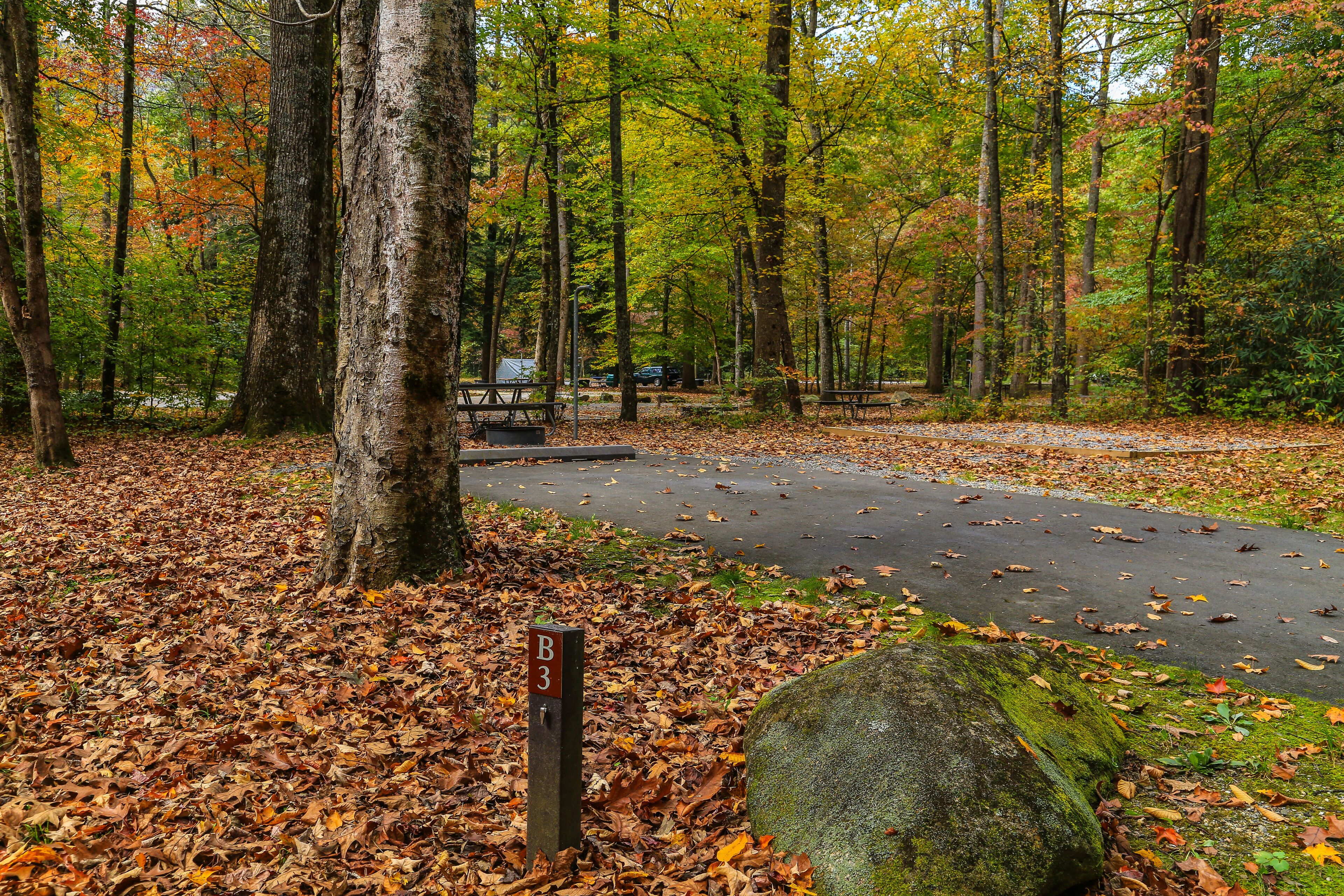 Smokemont Campground in Great Smoky Mountains National Park in North Carolina, United States