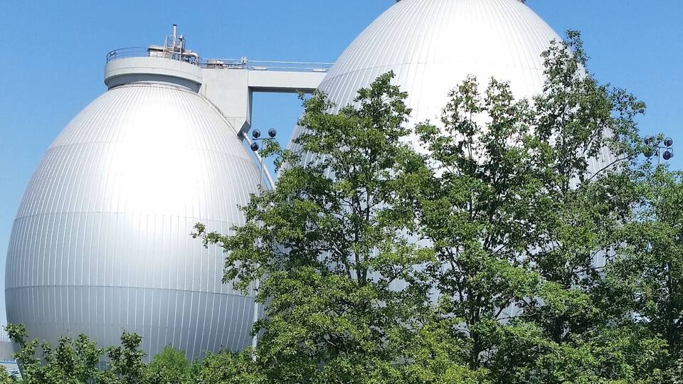 Two large, metallic, spherical structures with a flat top, surrounded by dense green foliage.