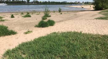 River beach near Düsseldorf.
