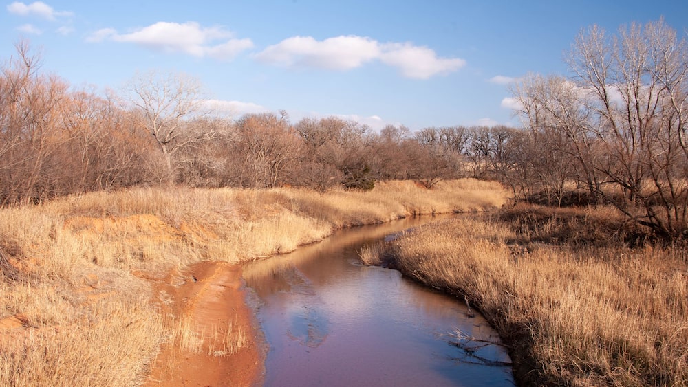 A river meandering through a dry, grassy landscape with sparse trees and a clear sky.