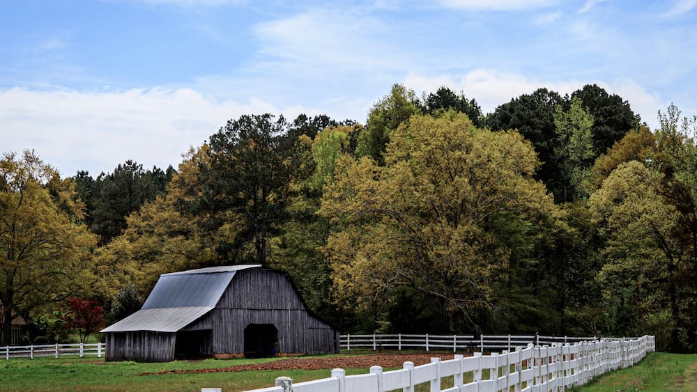 Barn & Fence in Hamilton