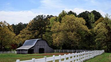 Barn & Fence in Hamilton