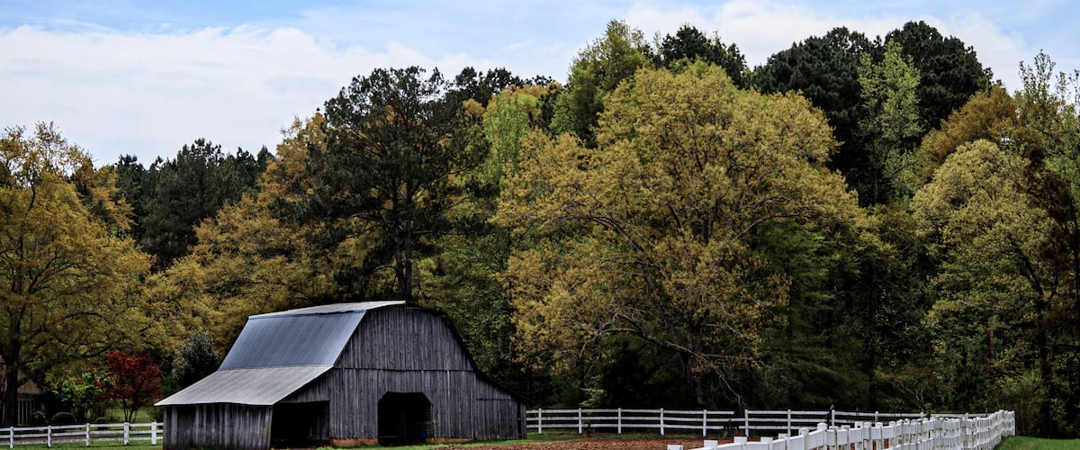A white wooden fence, a barn, and trees in the background.