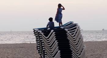 An evening view to the sea