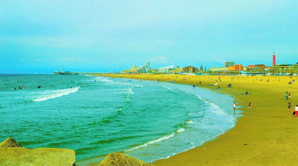 One of those days in Netherlands #blue