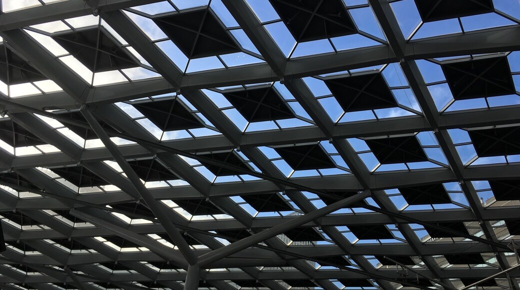 I know a great rail station roof when I see (through) one. #greatdesign
