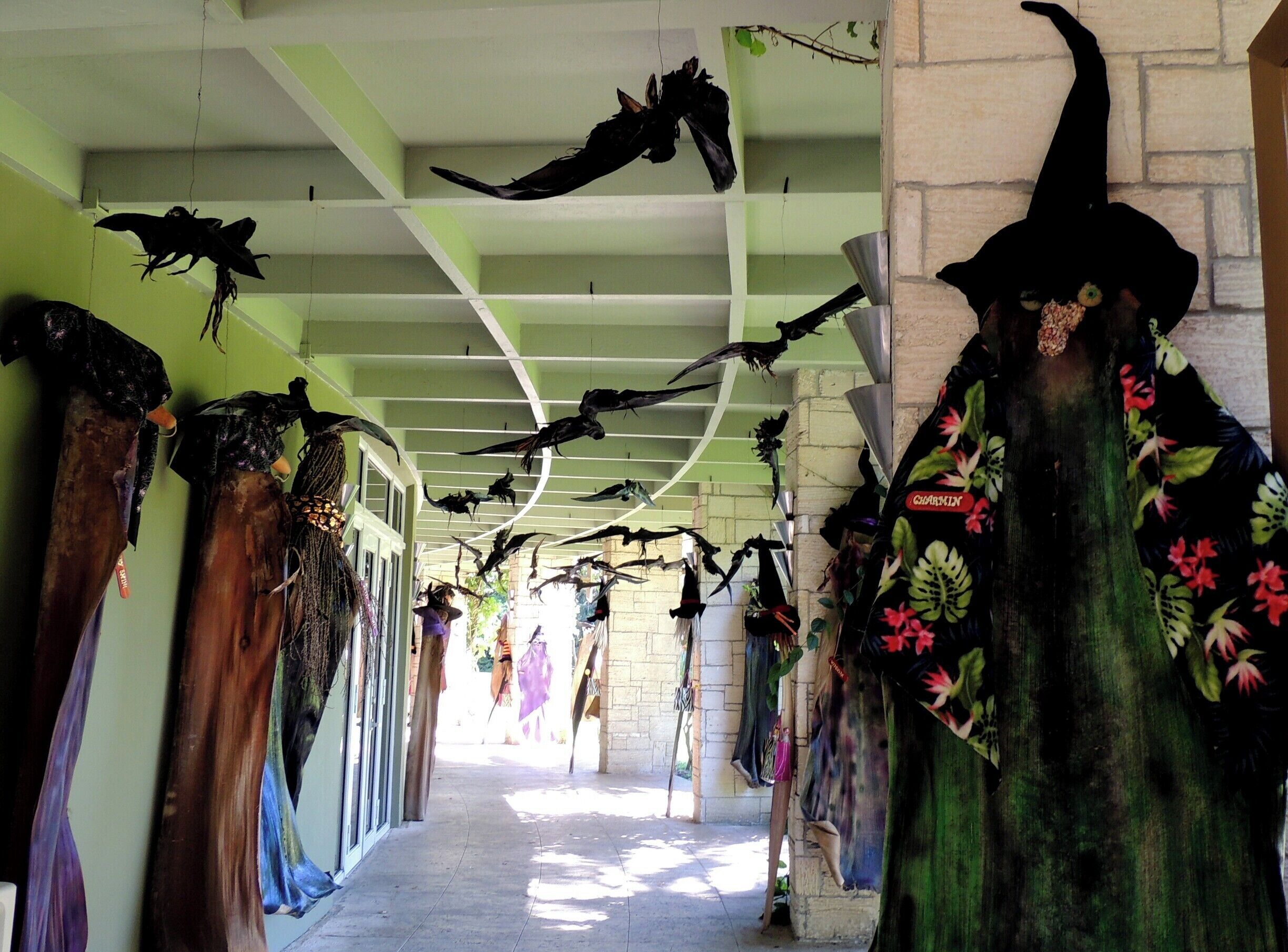 A novel assortment of visitors this past weekend at Miami's famed Fairchild Tropical Botanic Gardens included these witches and bats created by artist and Fairchild volunteer Bev Murphy.  Her fun and funky creations, made completely from organic materials, certainly helped set the stage for upcoming Halloween festivities.