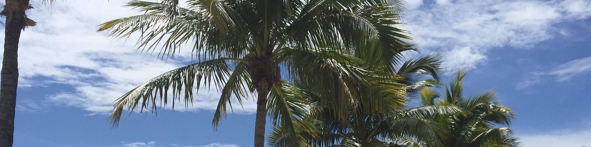 Beautiful stunning day in Miami. #saltlife