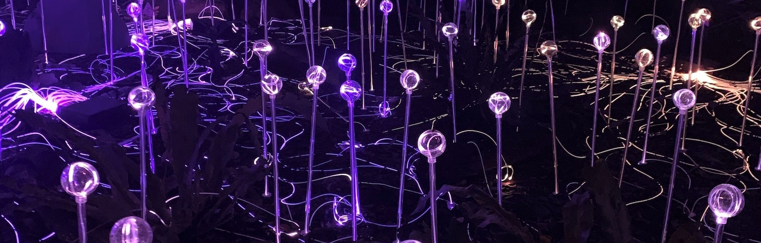 The nightgarden at Fairchild is a MUST