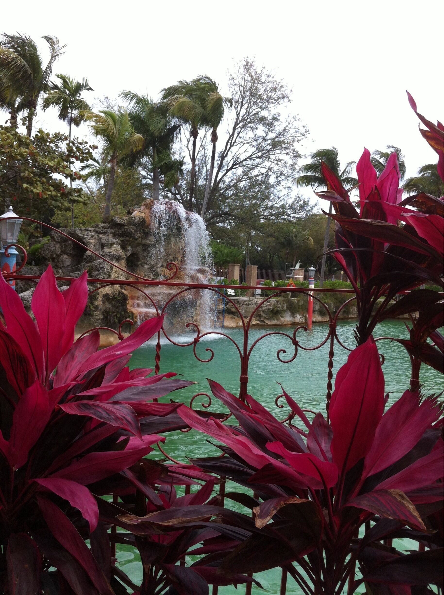 Cool place to swim. Iconic pool where that stars from bygone days swam.
