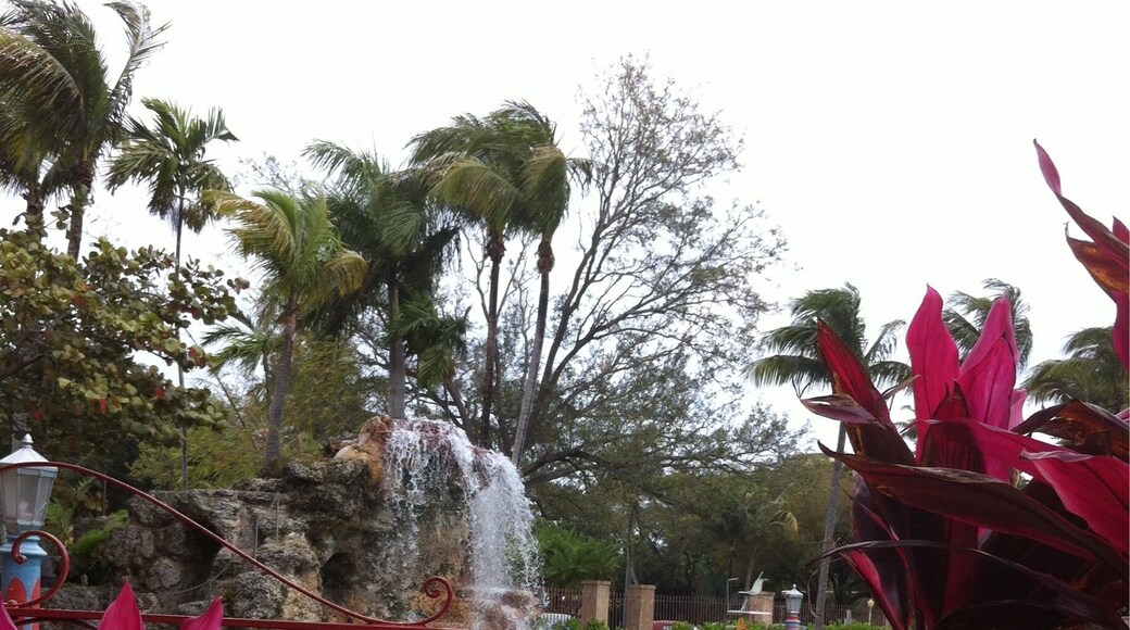 Cool place to swim. Iconic pool where that stars from bygone days swam.