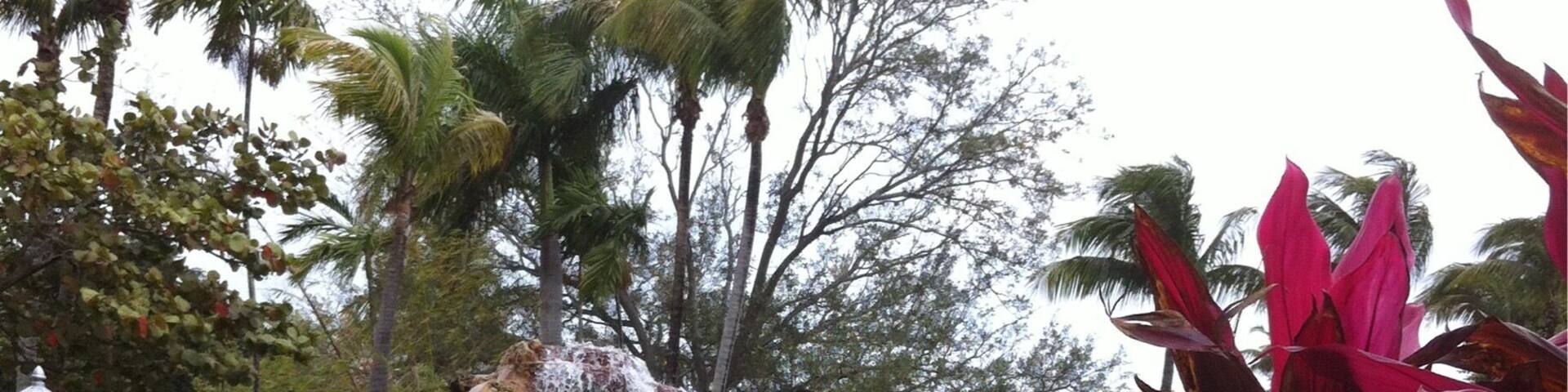 Cool place to swim. Iconic pool where that stars from bygone days swam.