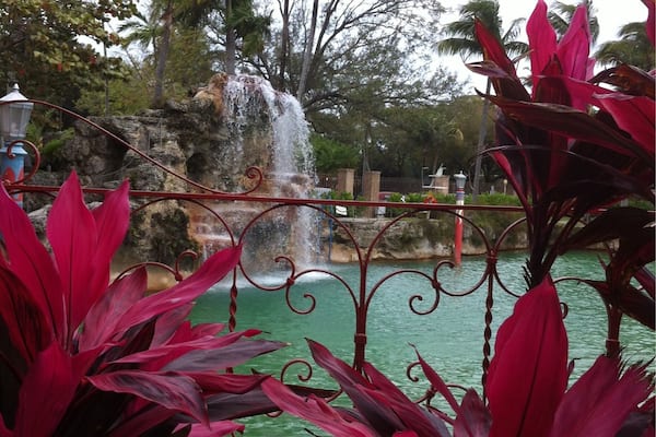 Cool place to swim. Iconic pool where that stars from bygone days swam.