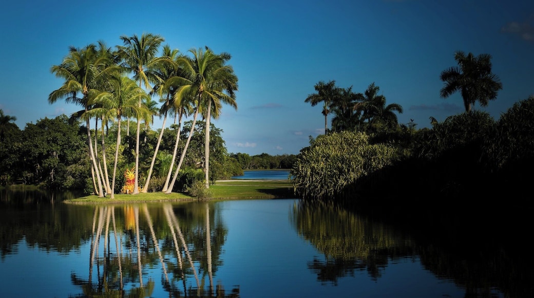 A beautiful manicured garden with many different types of palm trees, a butterfly garden, and a delicious cafe. A great place to spend a couple of hours and relax.