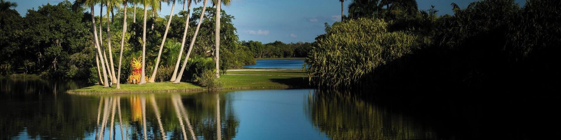 Un lac paisible, bordé de palmiers, avec un terrain de golf en arrière-plan.