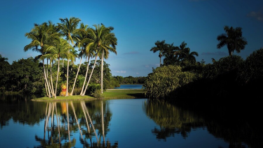 A beautiful manicured garden with many different types of palm trees, a butterfly garden, and a delicious cafe. A great place to spend a couple of hours and relax.