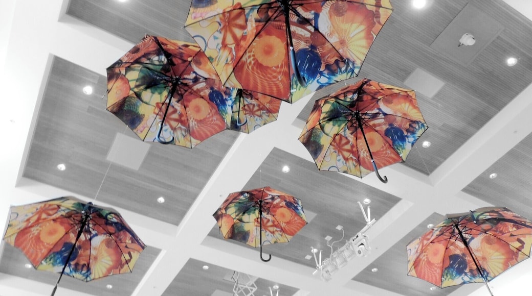 Nobody is gonna' rain on my parade!
This colorful collection of umbrellas is on display inside the new Adam R. Rose and Peter R. McQuillan Arts Center at Fairchild's in celebration of the Gardens and Glass Chihuly Exhibit.
Now through May 31, 2015, guests to Fairchild's can see over thirty Chihuly pieces artfully nestled throughout 83 acres of gardens.
For a spectacular treat, visit on Thursday or Sunday evening (I'm hoping to return) and experience the magic of Chihuly illuminated under the stars.