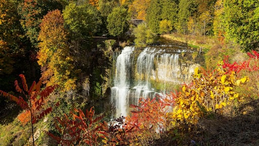 The Webster's Falls view along Spencer Gorge hiking trail in Hamilton, Ontario, Canada. Autumn Season.