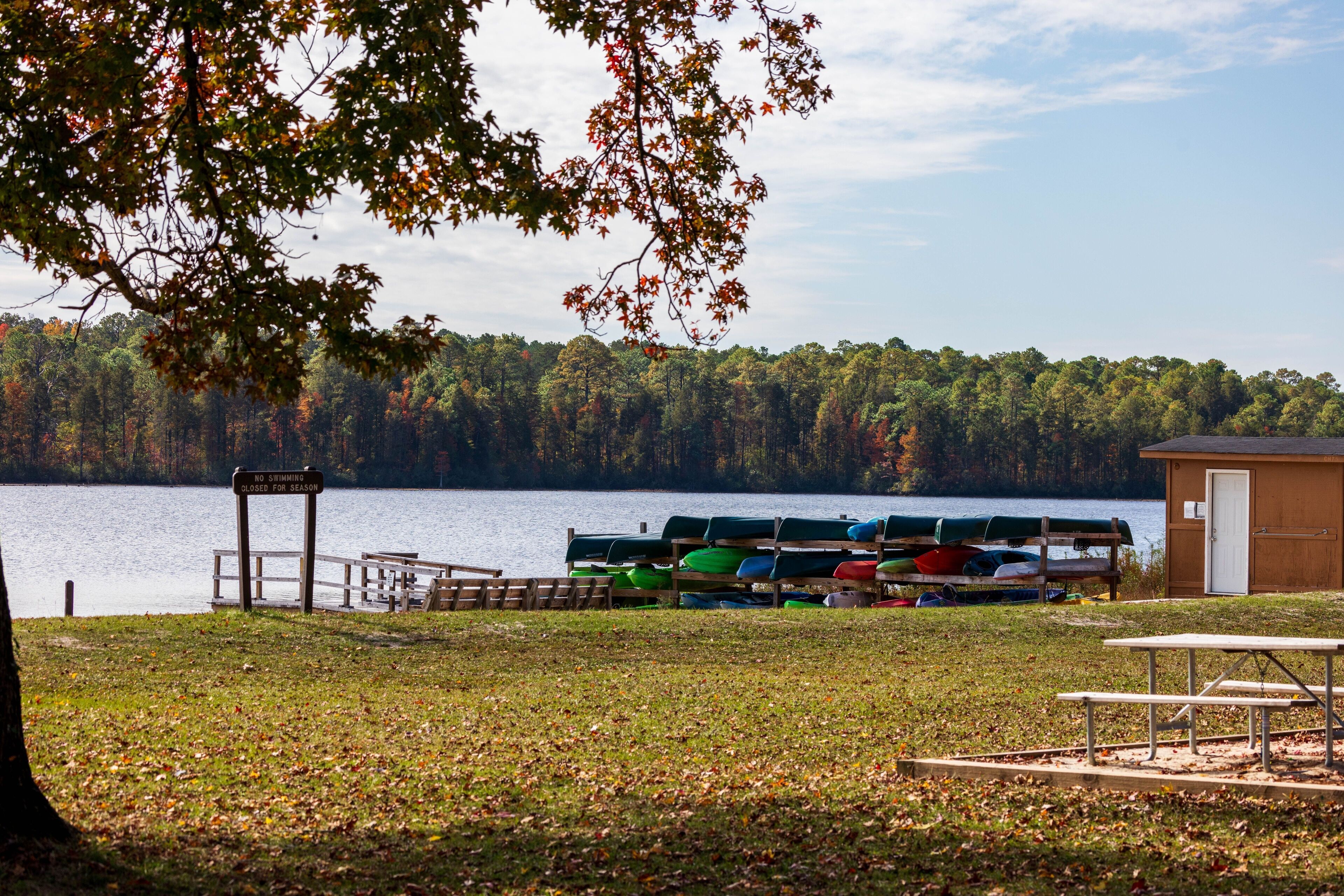 Scenic view of rental boats at a lake against trees at Cheraw State Park in Chesterfield County