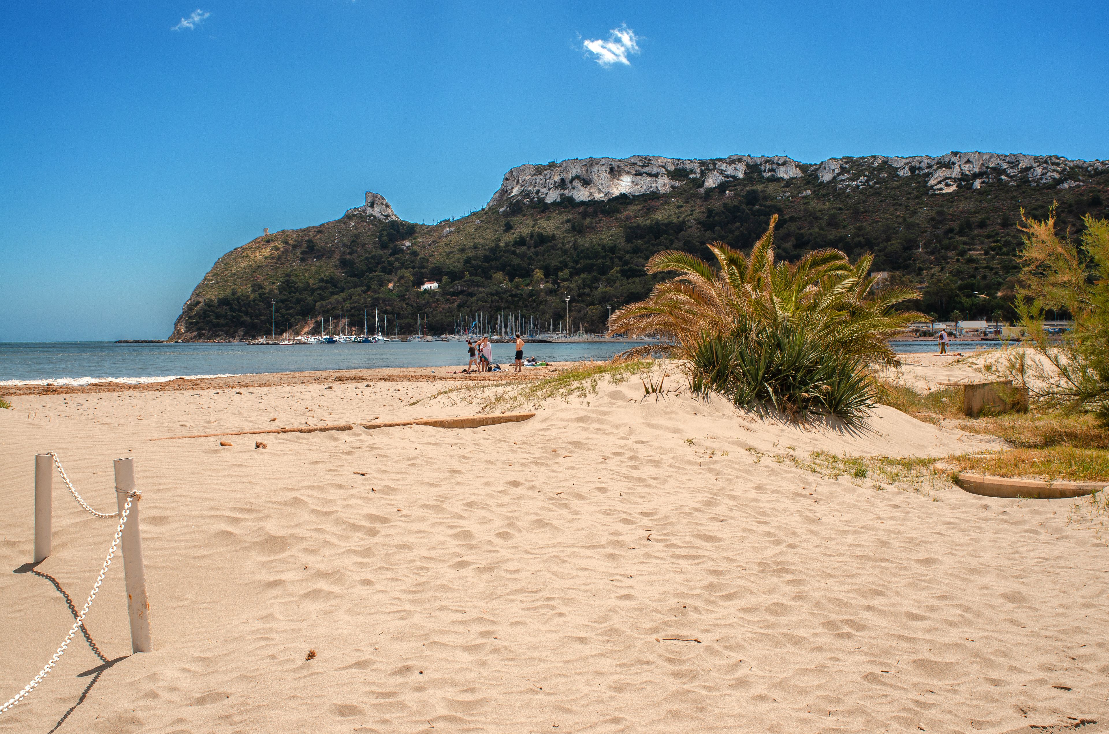 A sandy beach with a rocky hill in the background, a few palm trees, and a clear blue sky.