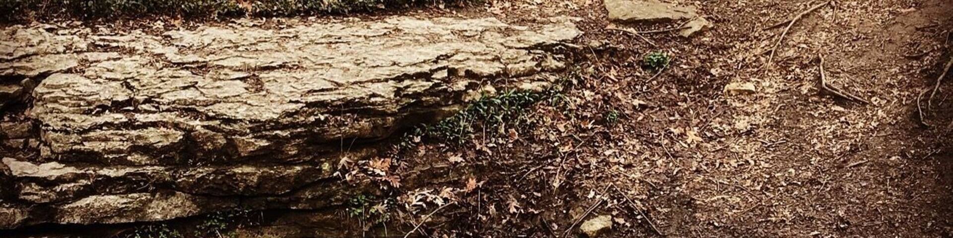 Hidden trail I was lucky enough to find tucked in the back corner of a park!