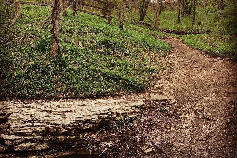 Um caminho de terra estreito ao lado de um riacho, com uma cerca de madeira e árvores ao fundo.