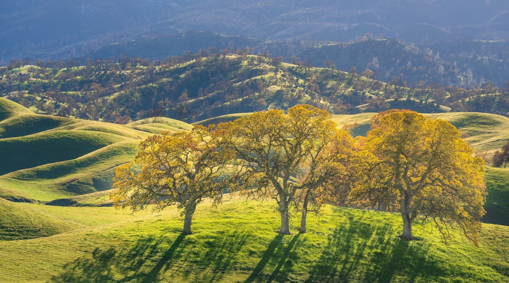Rolling hills, three trees with yellow leaves, and distant mountains.