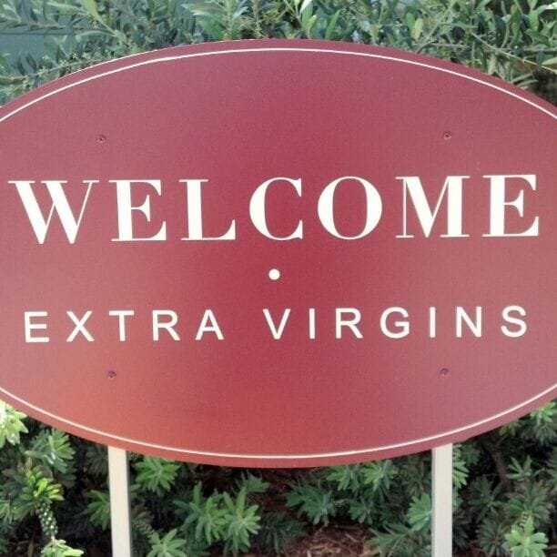 Lucero Olive Oils. Pretty cool place. 2120 Loleta Ave Corning, CA