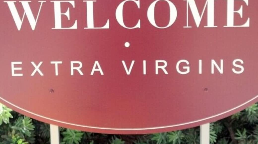 Lucero Olive Oils. Pretty cool place. 2120 Loleta Ave Corning, CA