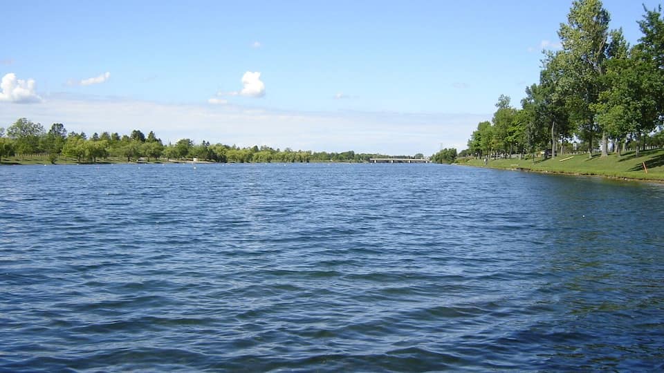 A calm lake with a grassy shoreline and trees.
