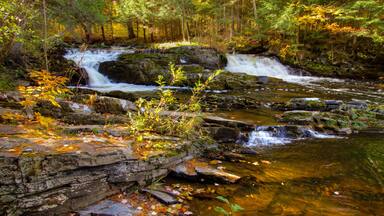 A waterfall in a forested area with rocks and autumn leaves.