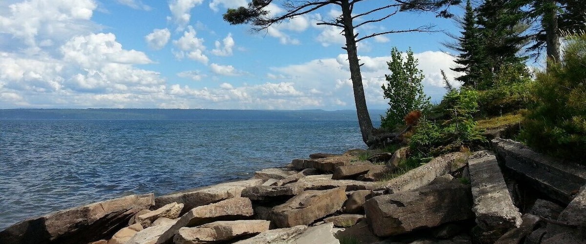 A rocky shoreline with a clear sky and a tree.