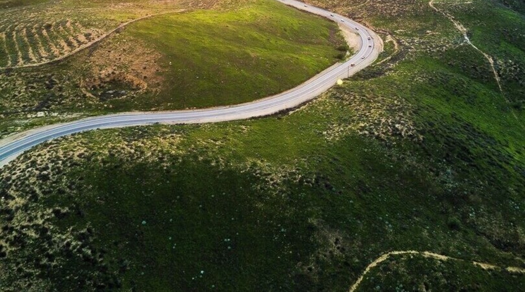 The area surrounding Lake Matthews is often dry and brown but take a drive along the meandering Cajalco Road during the spring and it's a stunningly beautiful drive.