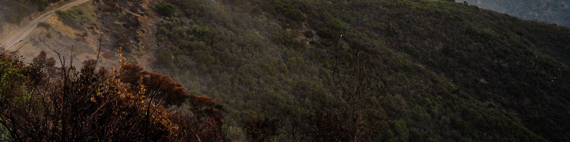 Clouds in the Mountains