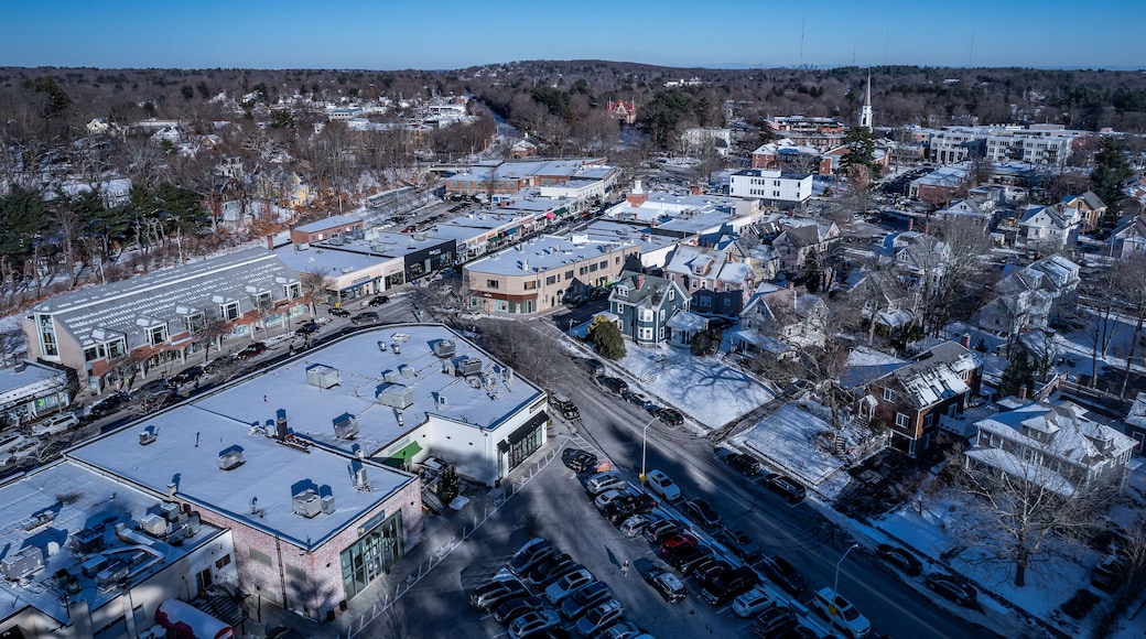 Aerial view of Wellesley, Massachusetts in winter