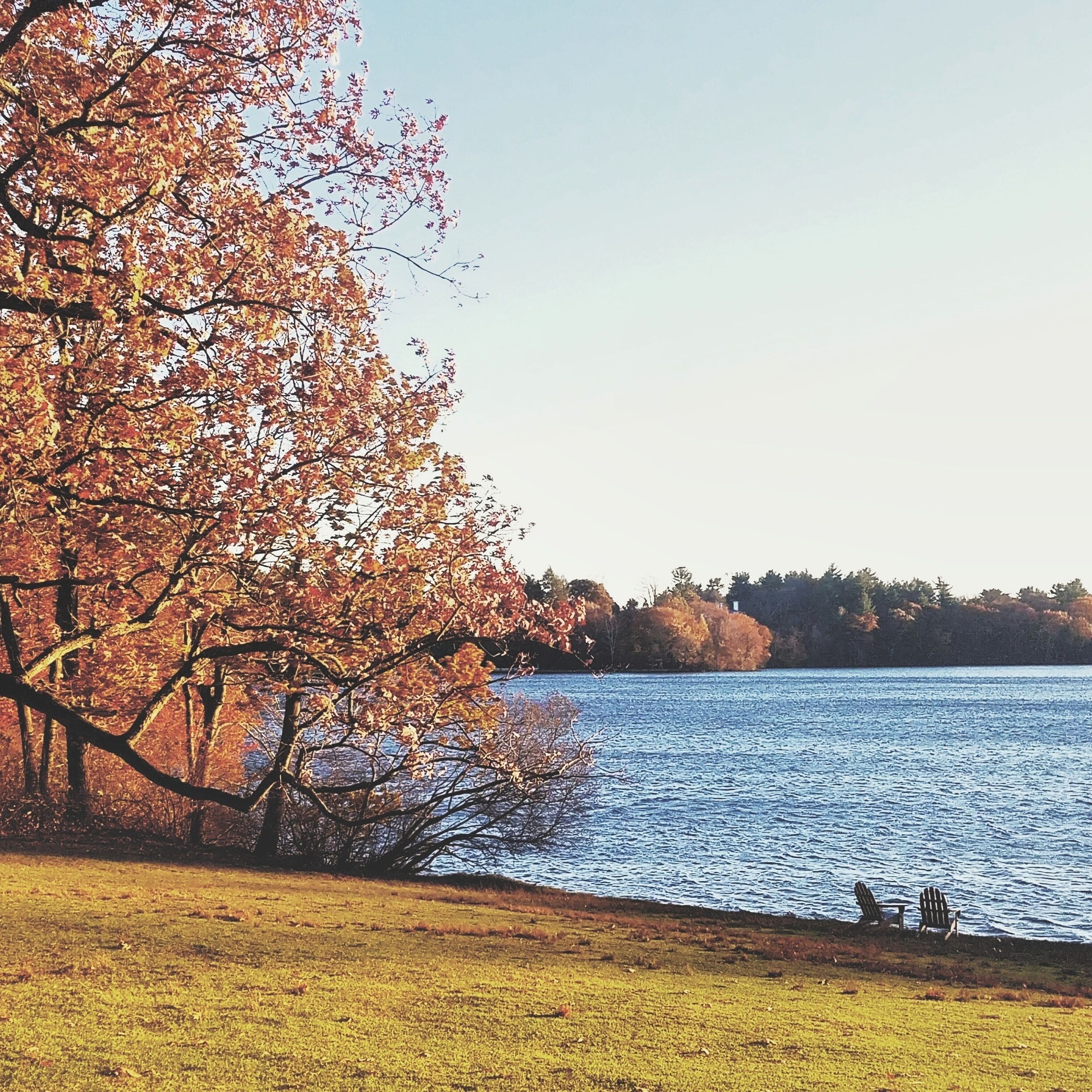 Never knew that Wellesley College campus had such a picturesque sitting spot available 😍😍 Getting to know our neighboring towns this Sunday. How was your weekend?
