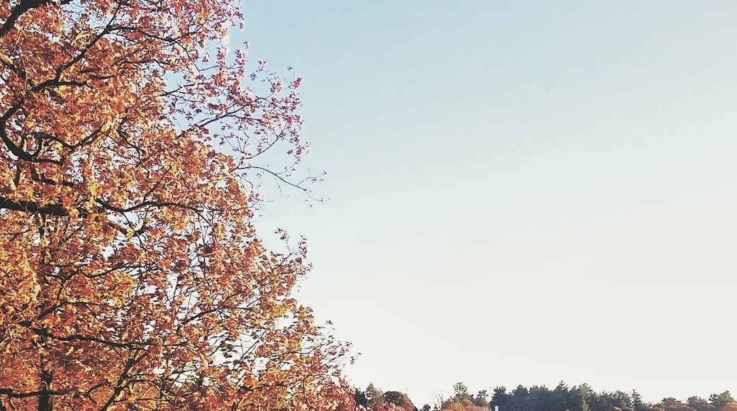 Never knew that Wellesley College campus had such a picturesque sitting spot available 😍😍 Getting to know our neighboring towns this Sunday. How was your weekend?