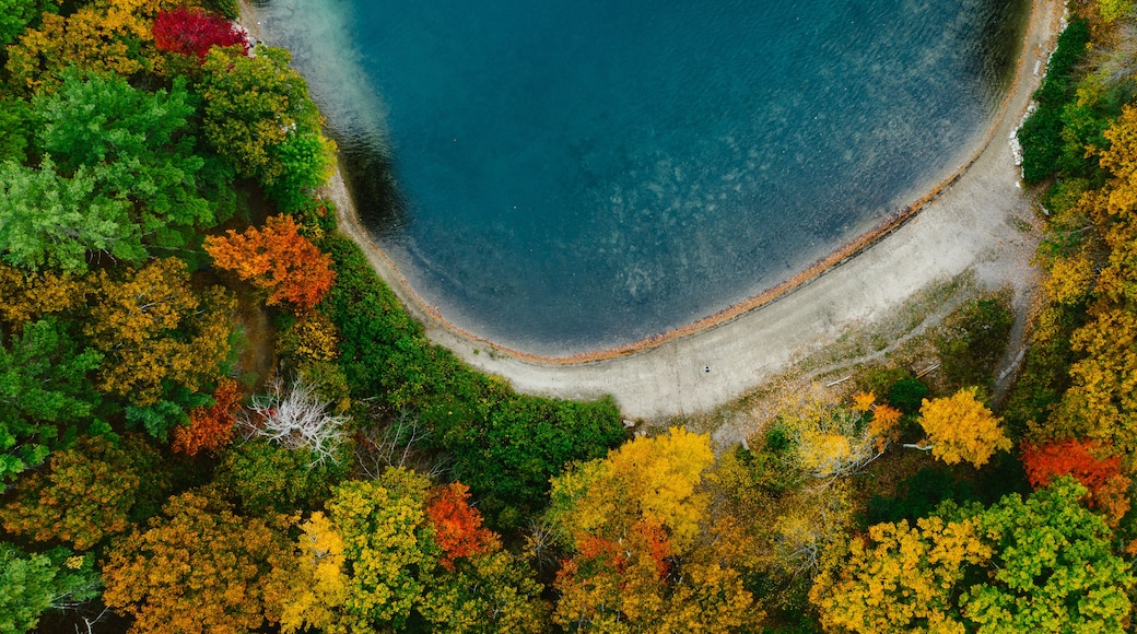 Tiny person outside on lake beach with fall foliage in trees