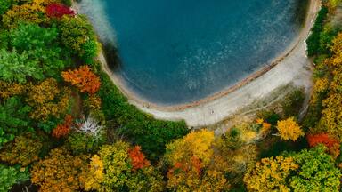 Tiny person outside on lake beach with fall foliage in trees
