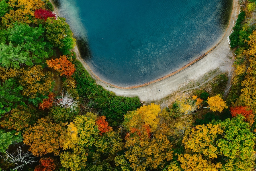 Tiny person outside on lake beach with fall foliage in trees