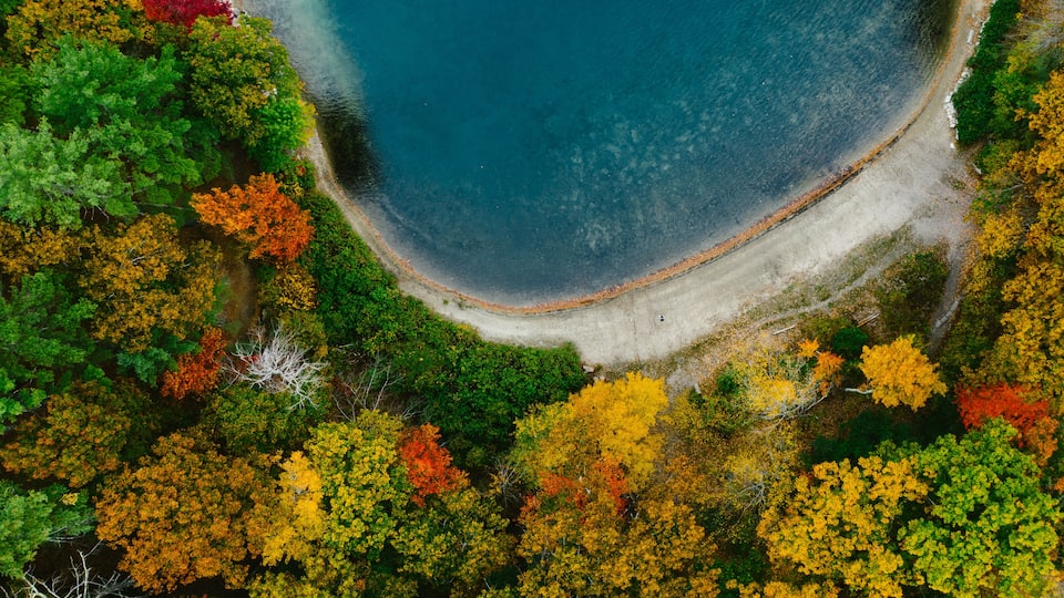 An aerial view of a beach surrounded by autumn-colored trees.