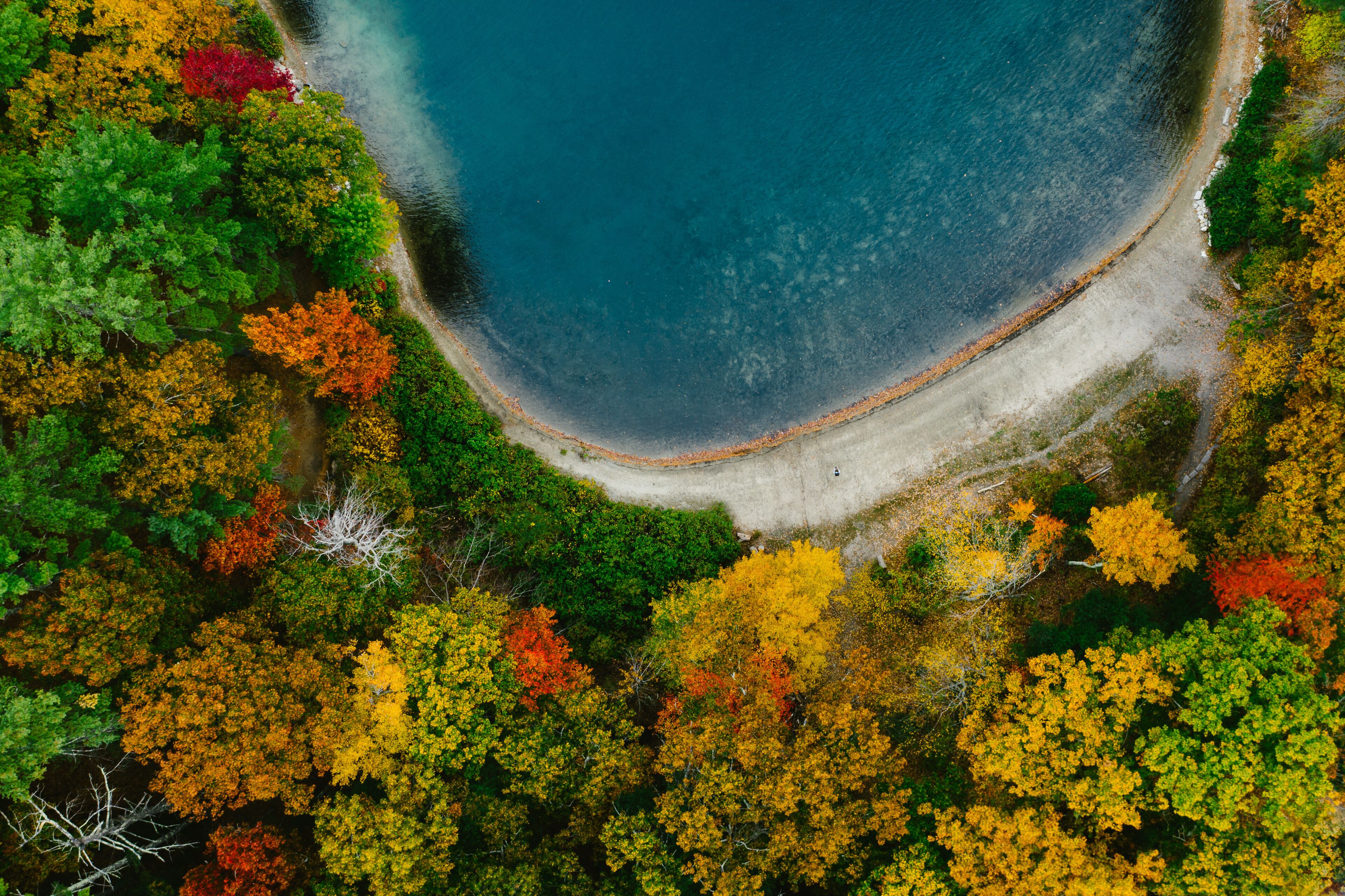 An aerial view of a beach surrounded by autumn-colored trees.