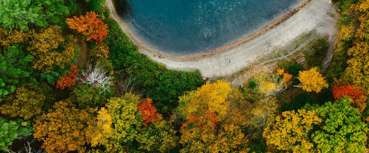 An aerial view of a beach surrounded by autumn-colored trees.