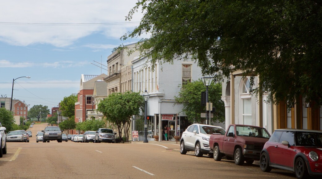 Natchez mostrando escenas urbanas