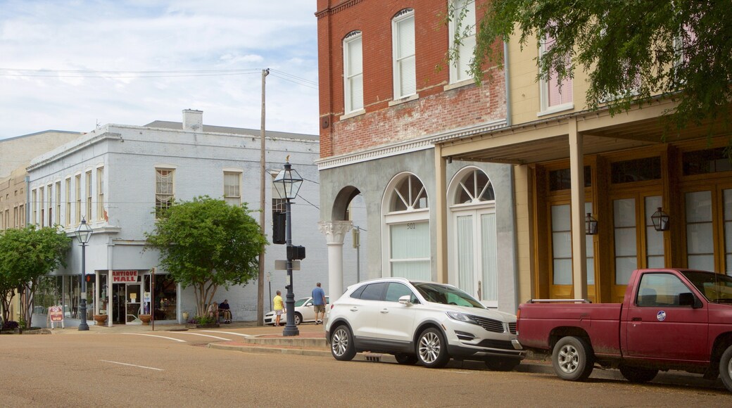 Natchez ofreciendo escenas urbanas