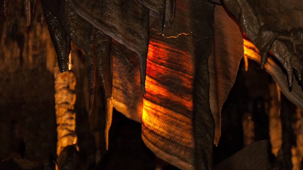Cave Bacon