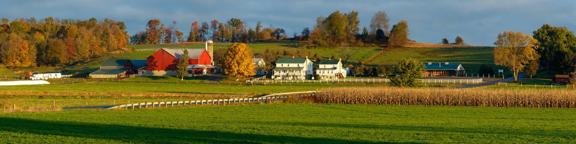 Amish Farm on a Late Summer Afternoon in Ohio's Amish Country