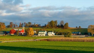 Amish Farm on a Late Summer Afternoon in Ohio's Amish Country