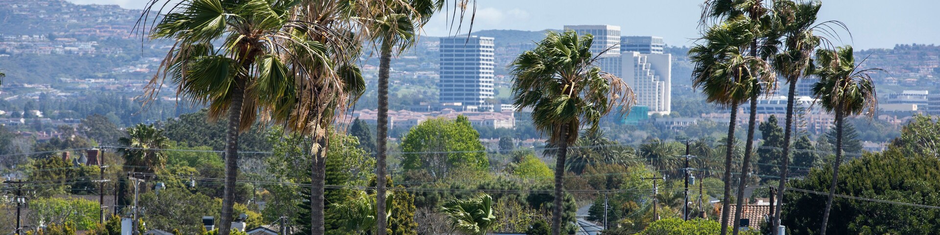 Palm framed view of downtown Costa Mesa, California, USA.